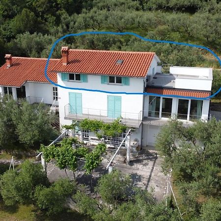 安卡兰House Among Olive Trees With A Sea View 1公寓 外观 照片