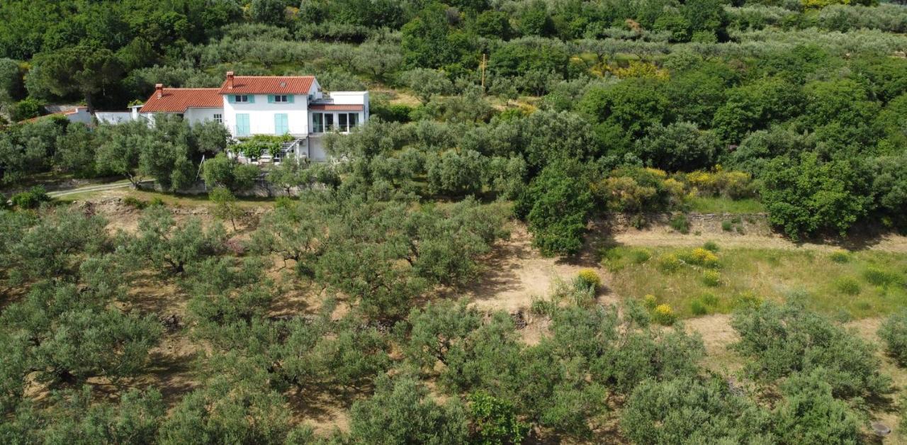 安卡兰House Among Olive Trees With A Sea View 1公寓 外观 照片
