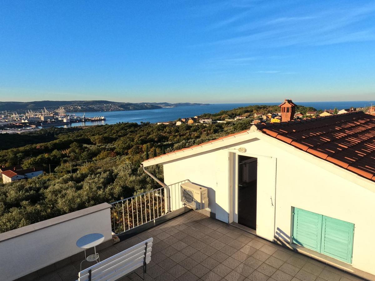 安卡兰House Among Olive Trees With A Sea View 1公寓 外观 照片