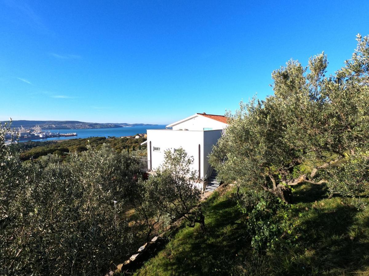 安卡兰House Among Olive Trees With A Sea View 1公寓 外观 照片